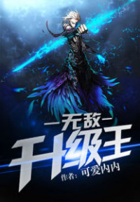 Invincible Leveling King (Novel)