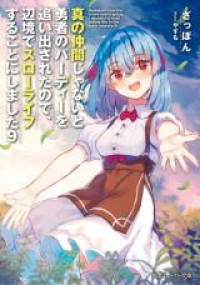 Shin no Nakama Janai to Yuusha no Party o Oidasareta node, Henkyou de Slow Life Suru Koto ni Shimashita (Novel) [delete]