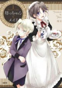 The Young Master and the Maid