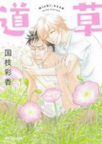 Michikusa (KUNIEDA Saika)