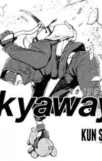 Skyaway's