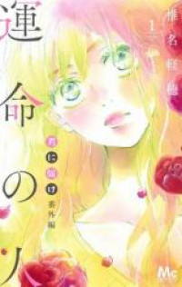 Kimi ni todoke bangai-hen - Unmei no hito