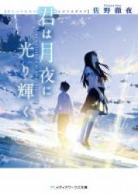 Kimi wa Tsukiyo ni Hikari Kagayaku (Novel)
