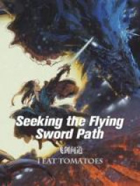 Seeking the Flying Sword Path (Novel)
